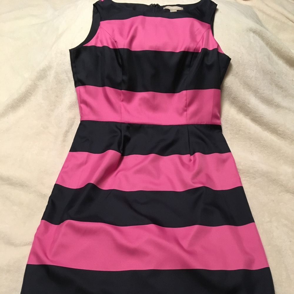 Banana Republic Navy & Pink pencil dress